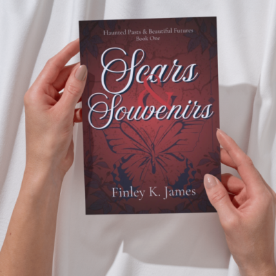 Scars & Souvenirs: Max's Journey