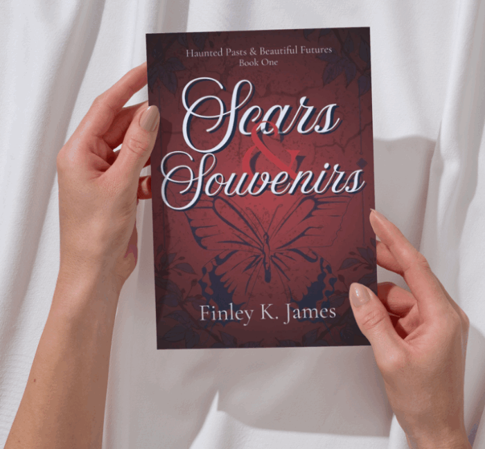 Scars & Souvenirs: Max's Journey